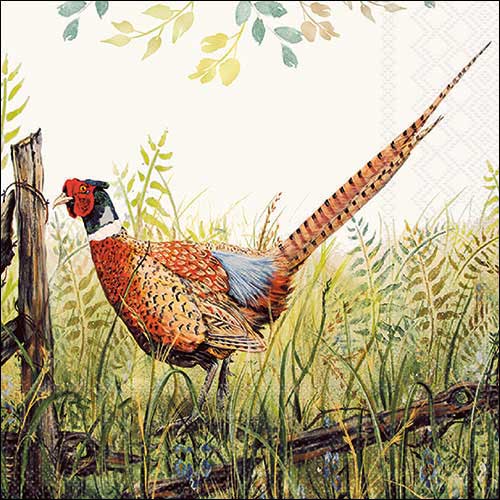 Glorious Pheasant - Napkin