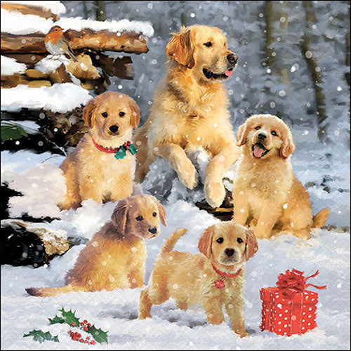 Golden Retriever Puppies - Napkin