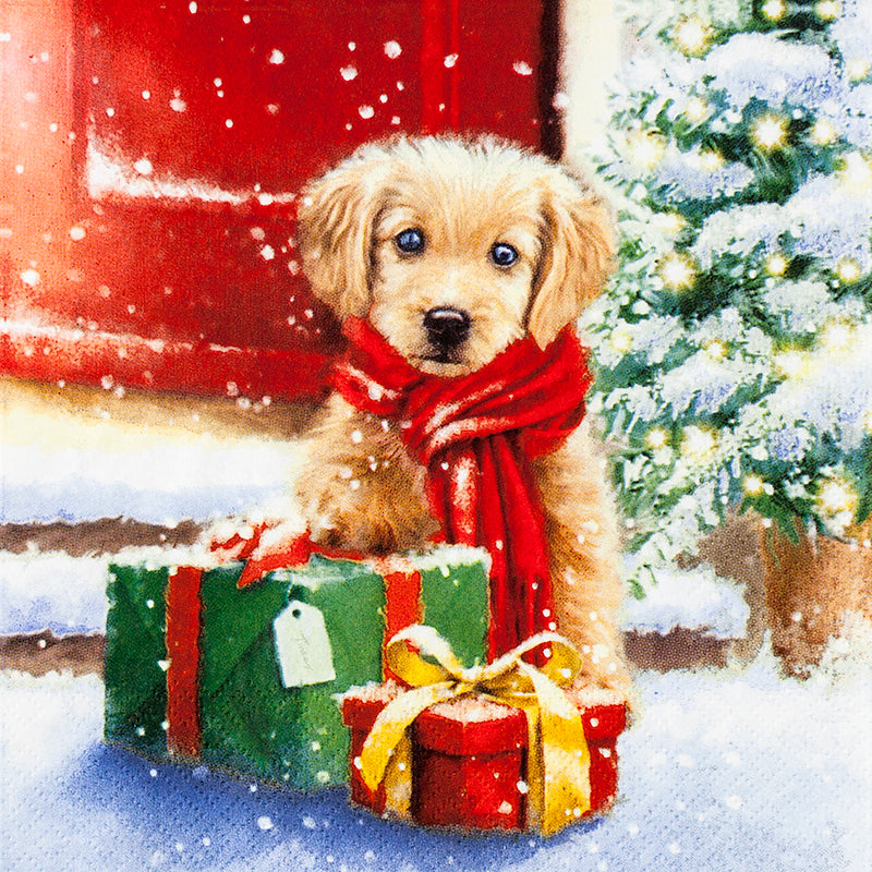 Puppy in a red scarf with Christmas presents and a tree in the background