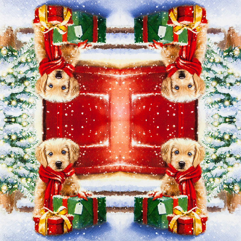Four puppies in front of a red door with Christmas presents and trees in the background