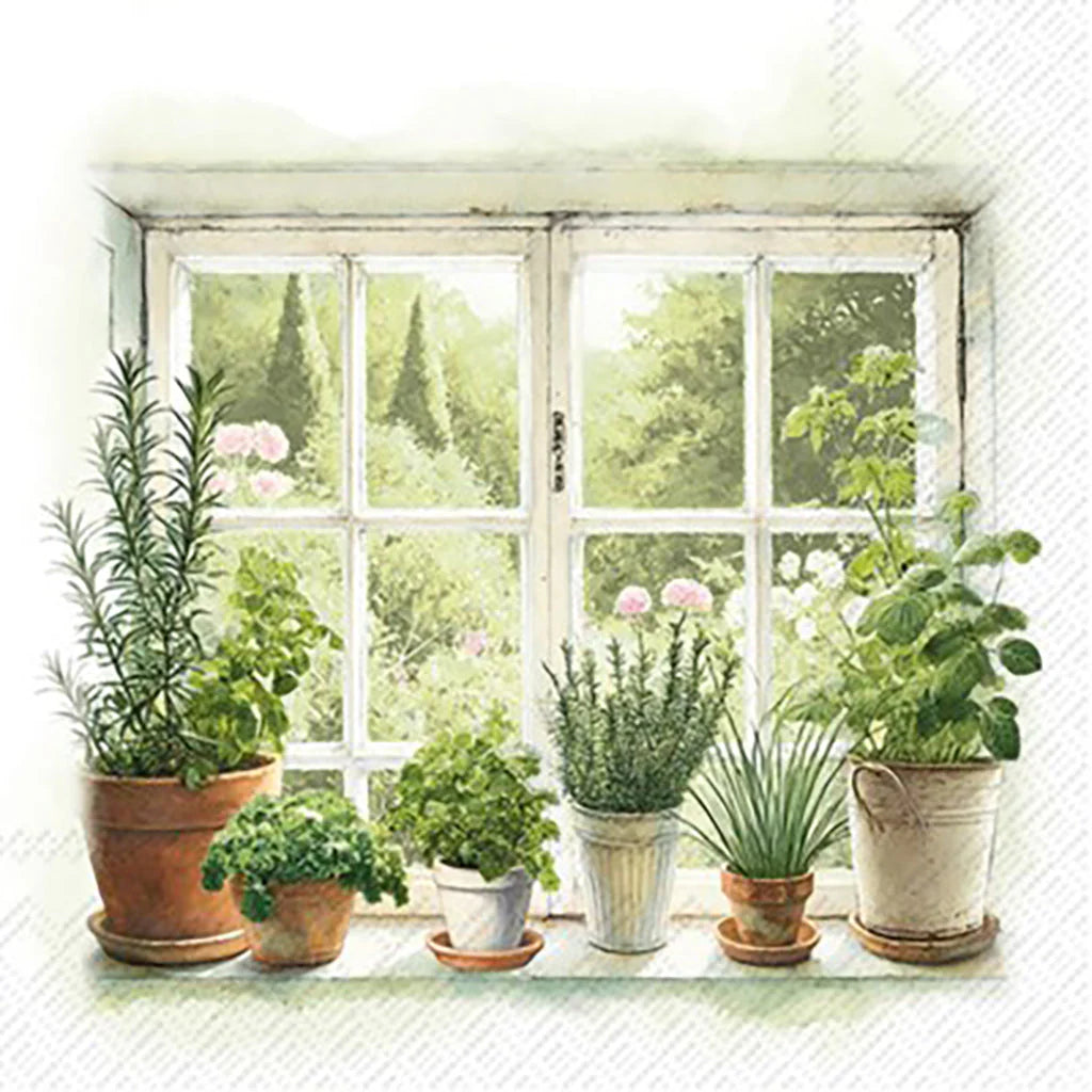 Potted plants on a windowsill with a view of greenery outside.