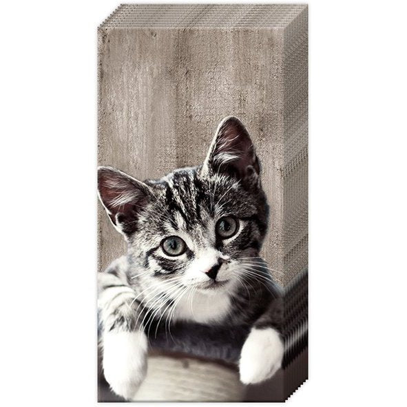 Cat-themed decorative tissue with a cat's face
