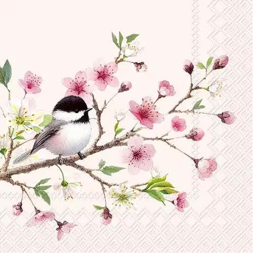 Bird perched on a branch with pink flowers on a light pink background