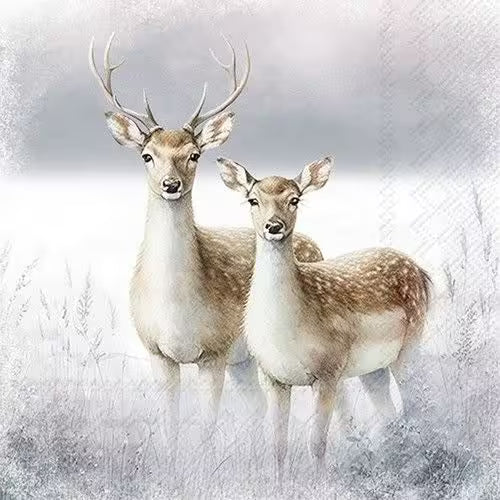 Two deer standing in a snowy landscape