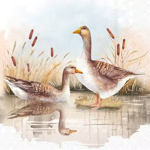 Two geese standing on a pond with reeds in the background