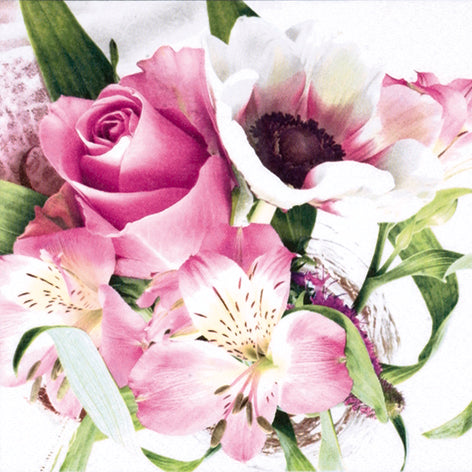 Close-up of pink and white flowers with green leaves on a white background