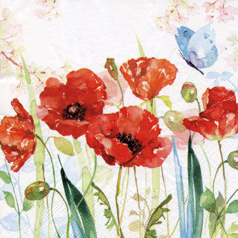 Red poppies with green leaves and a blue butterfly on a white background