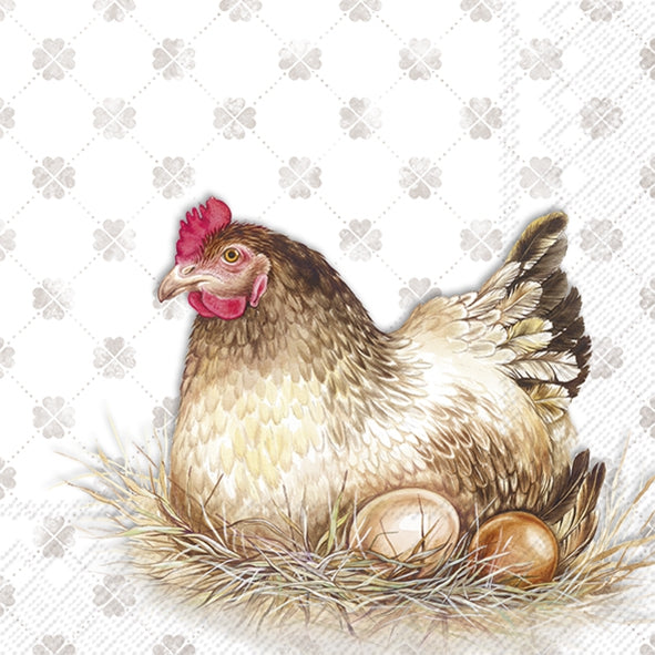 Illustration of a chicken with eggs in a nest on a decorative background