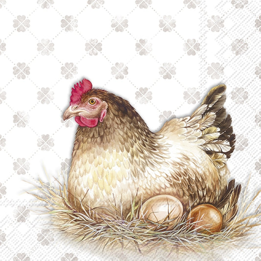 Illustration of a chicken with eggs in a nest on a decorative background