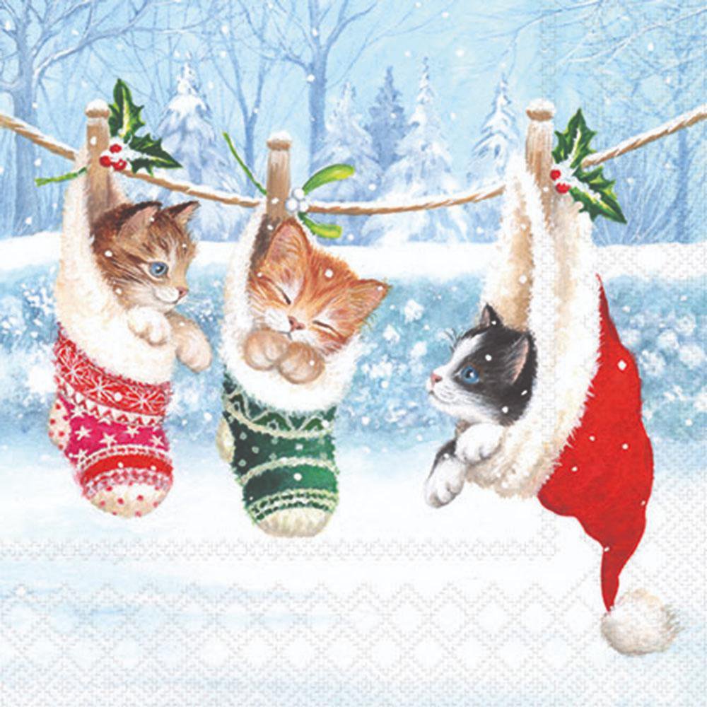 Three cats in colorful sweaters hanging on a clothesline against a snowy background