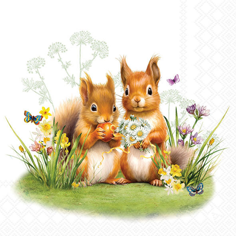 Little Squirrels - Napkin