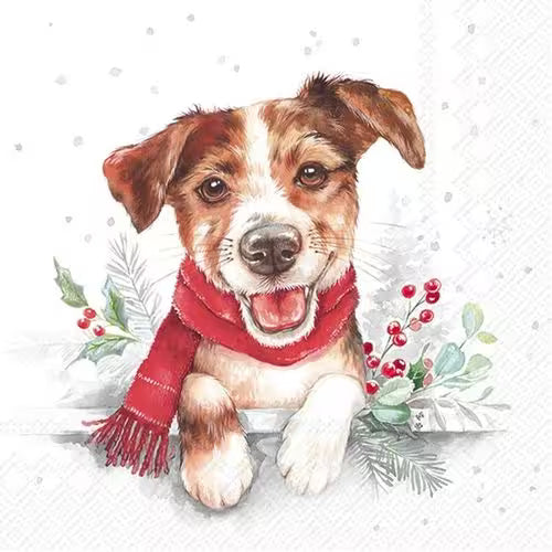 A happy puppy in the snow wearing a red scarf, with winter greenery and red berries around it.