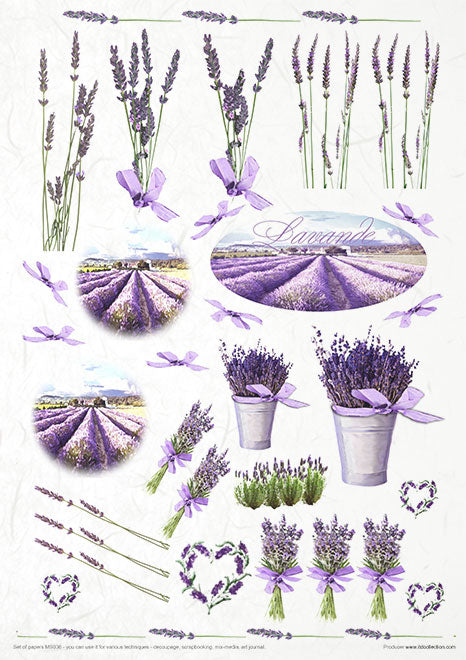 MS036 Lavender - Creative Set