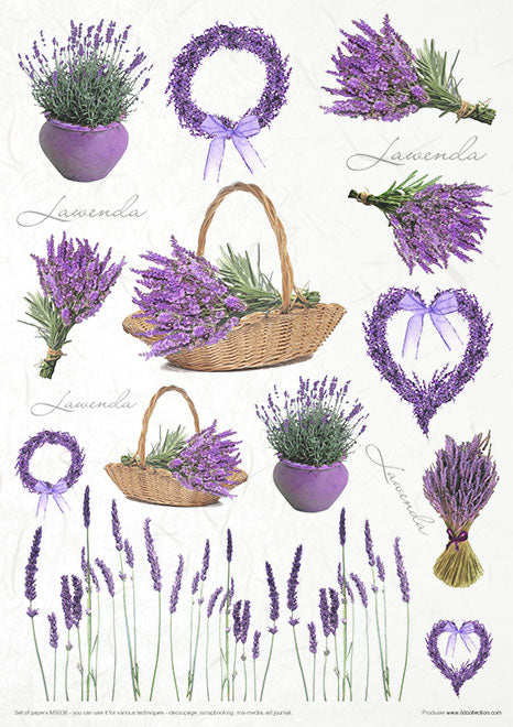 MS036 Lavender - Creative Set