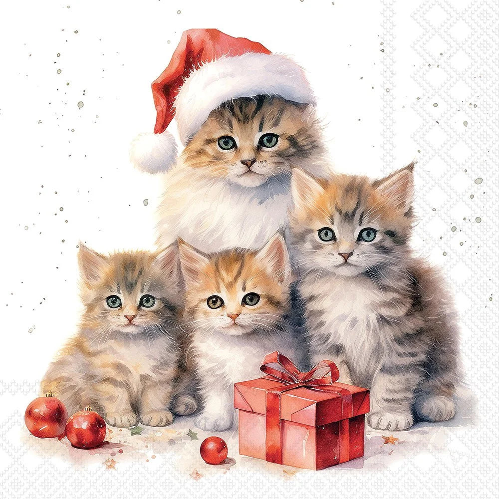 A festive illustration of four fluffy kittens, with the largest one wearing a red Santa hat, gathered around a red gift box with a bow. Red ornaments and scattered star confetti decorate a white background with a subtle holiday pattern.