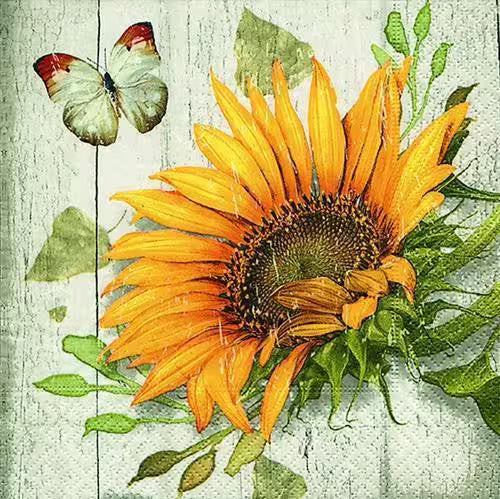 Sunflower with butterfly on a textured background