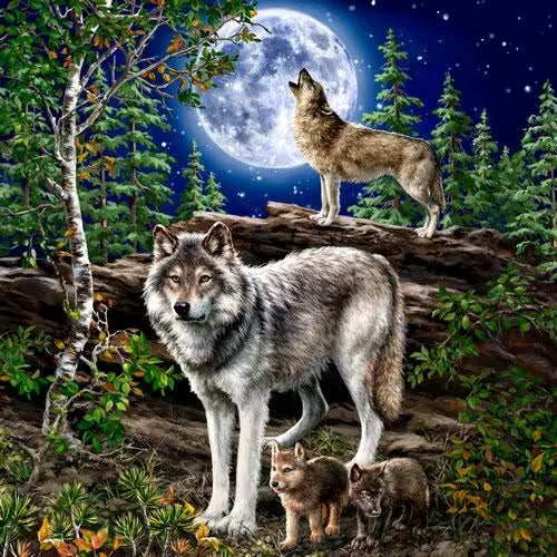 Two wolves and two pups in a forest with a full moon in the background