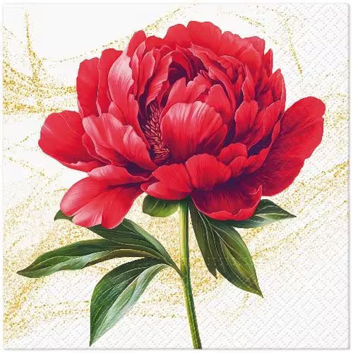 Red peony flower on a white background with gold accents