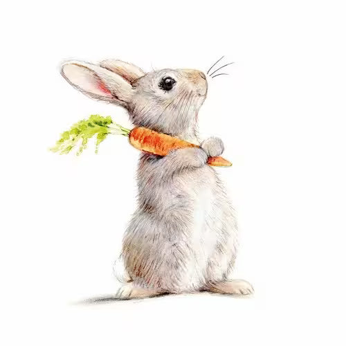 Illustration of a rabbit holding a carrot on a white background
