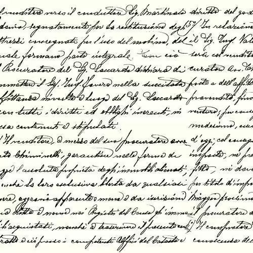 Detailed handwritten text on a white background