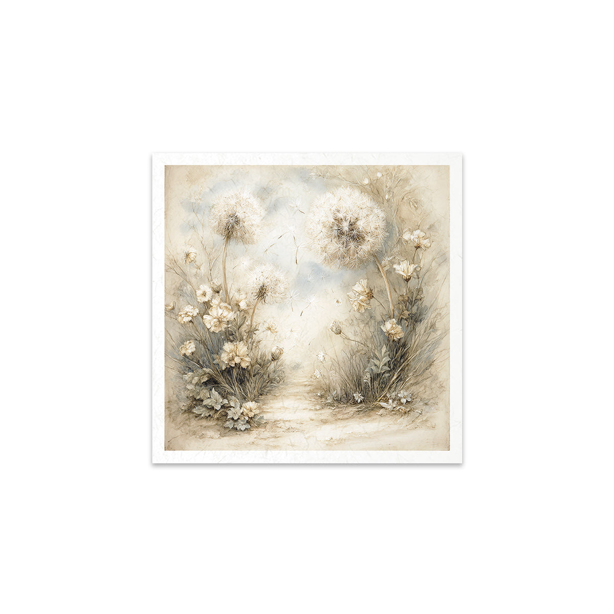 Dandelions and flowers on a white background