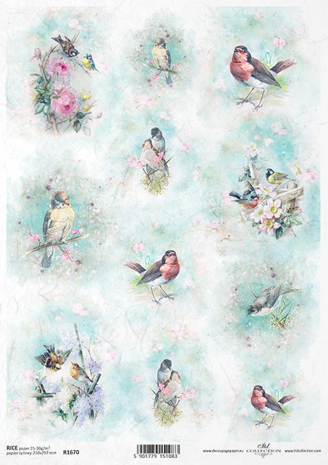 R1670 - Rice paper A4