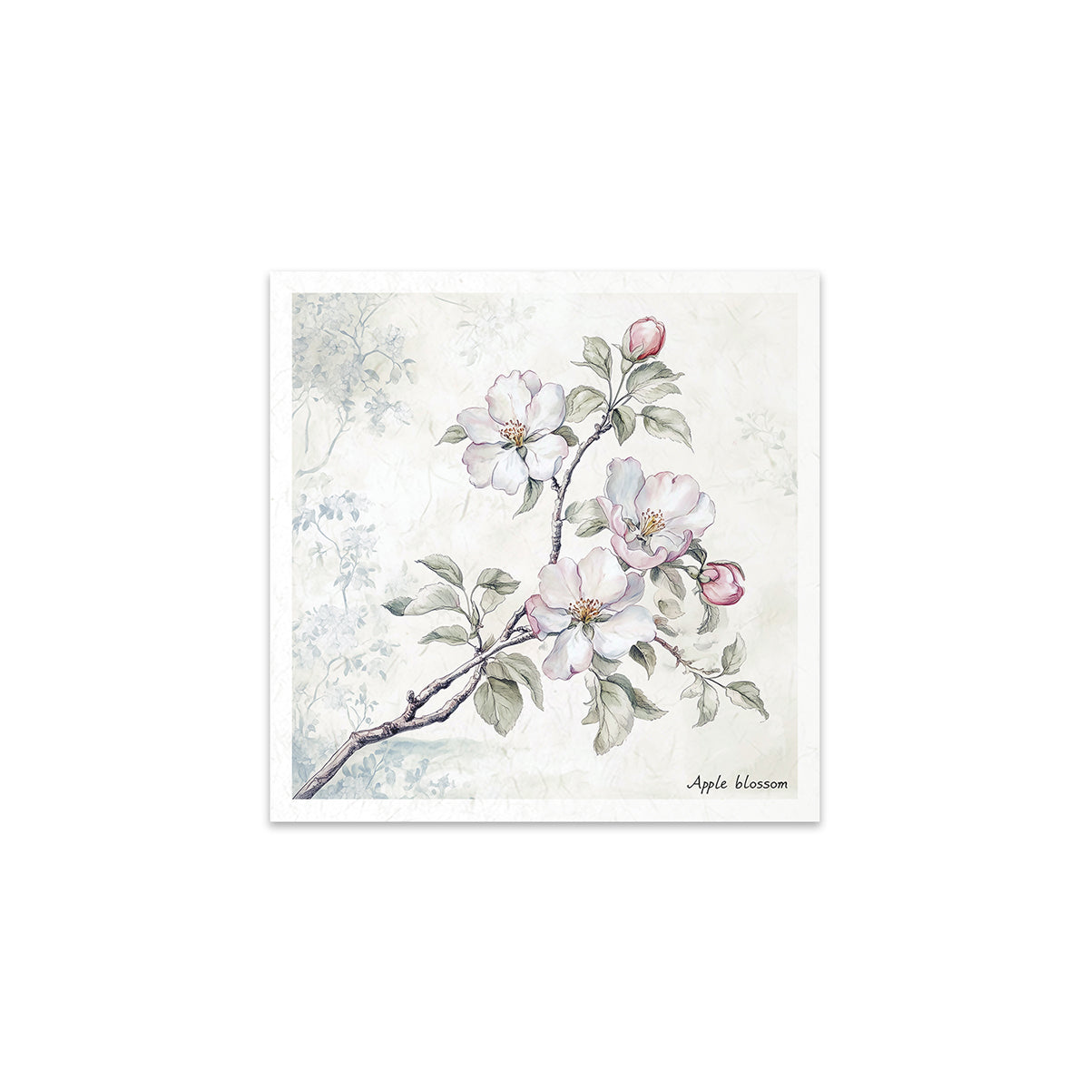 RSM176 - Mini Rice Paper Set