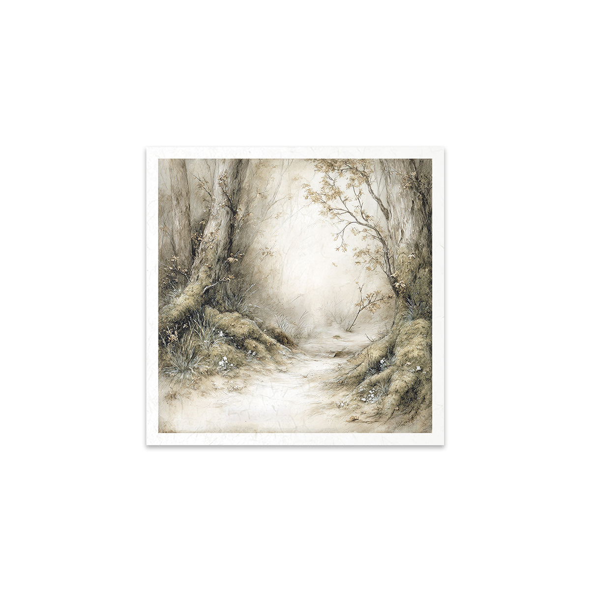 A forest scene with a path