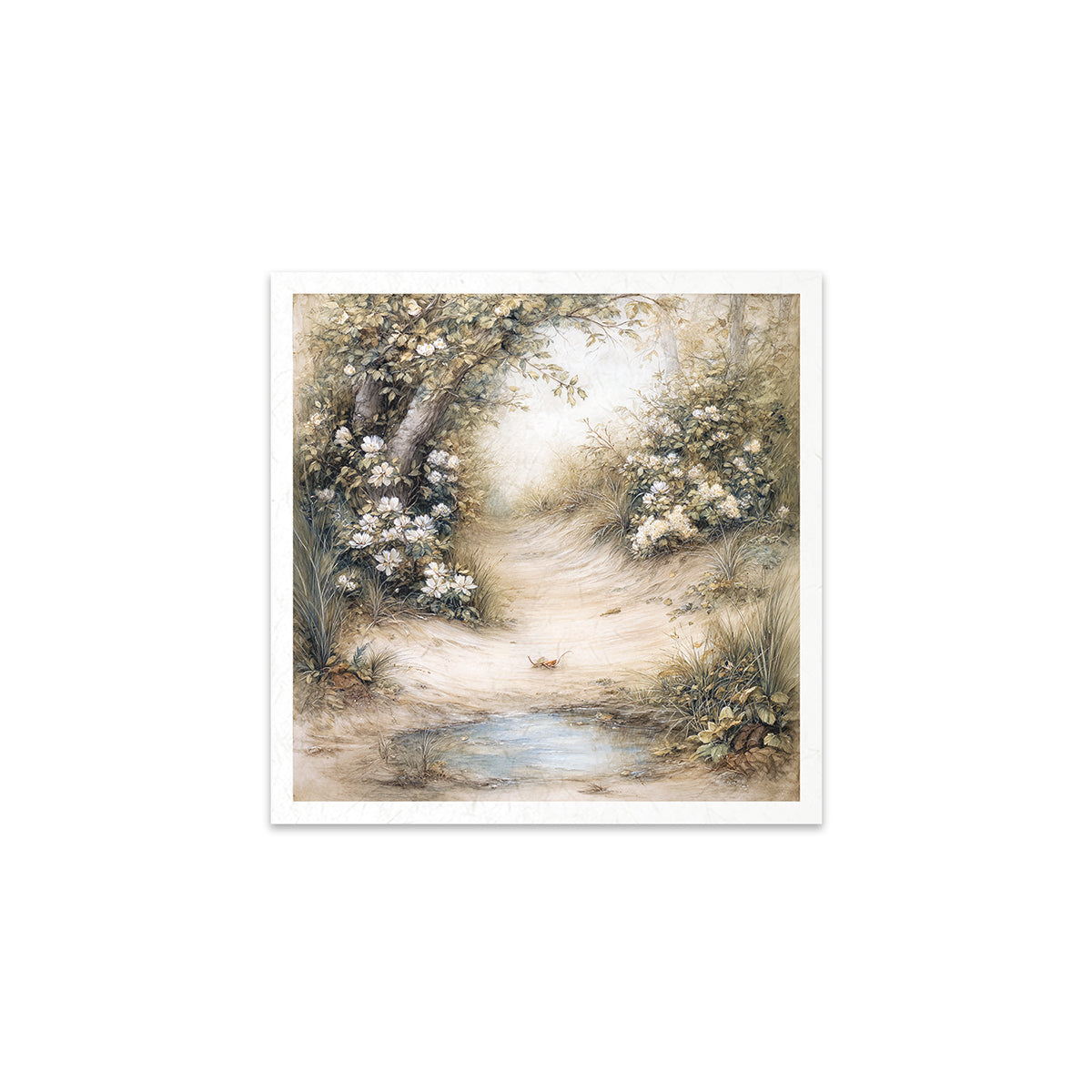 Landscape with a path, trees, and a pond on a white background.