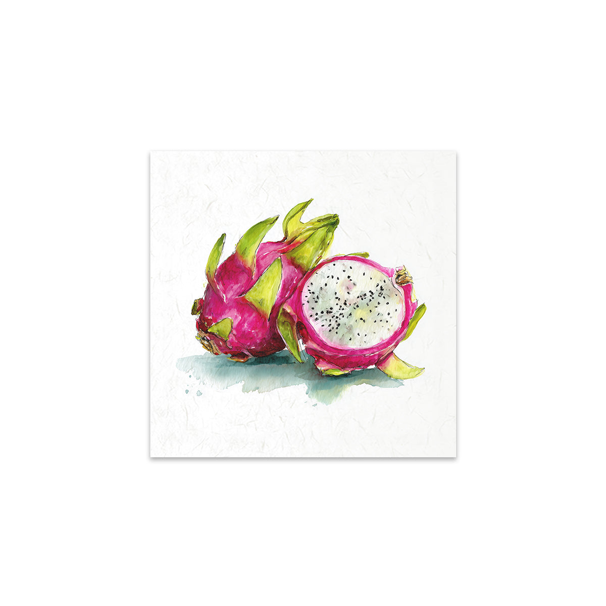 Illustration of a dragon fruit on a white background