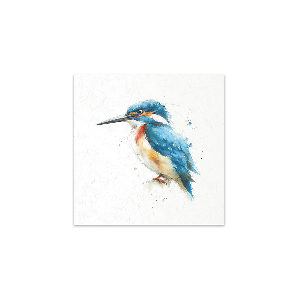 A kingfisher bird on a white background
