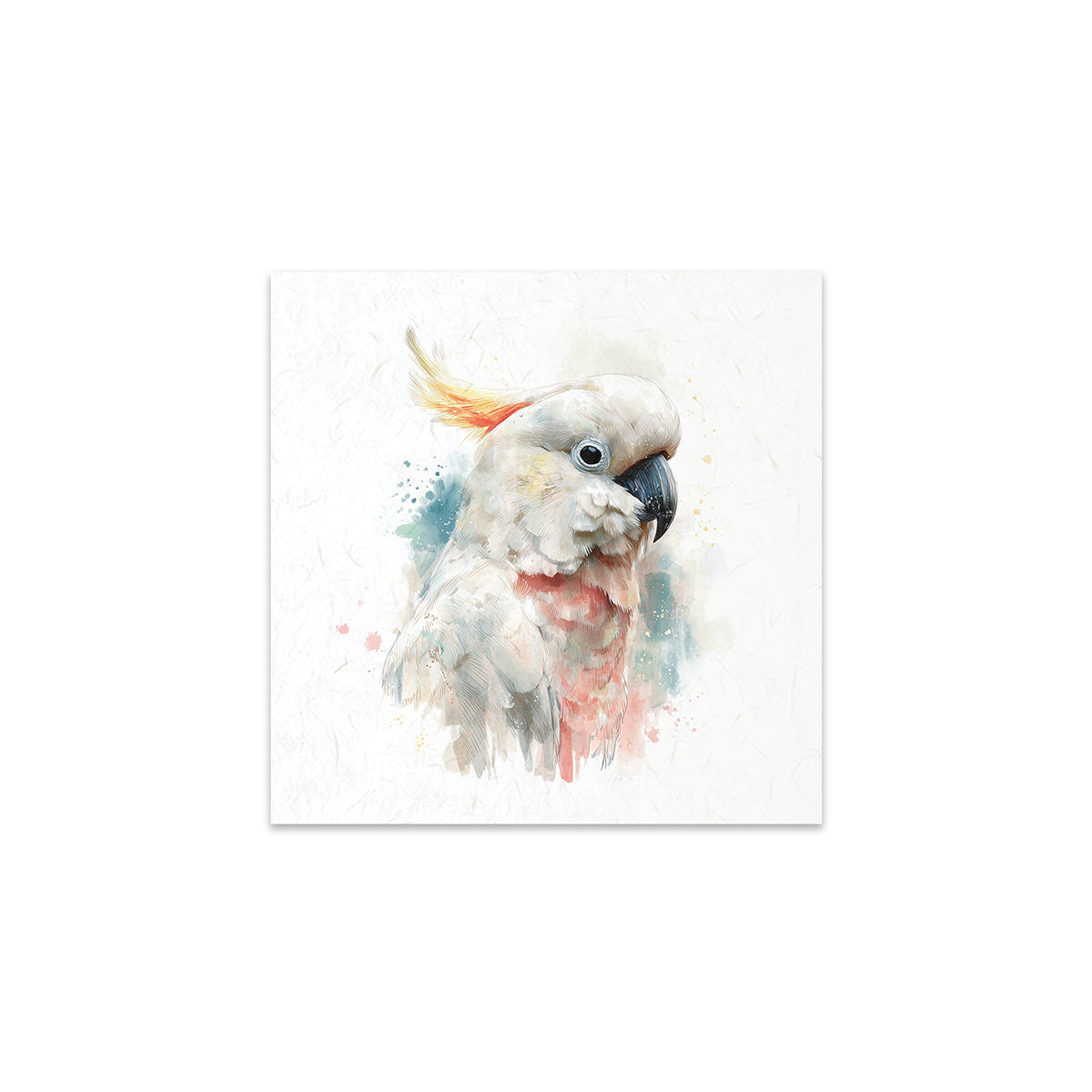 Colourful parrot illustration on a white background