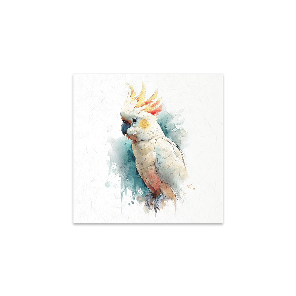 Colourful parrot illustration on a white background