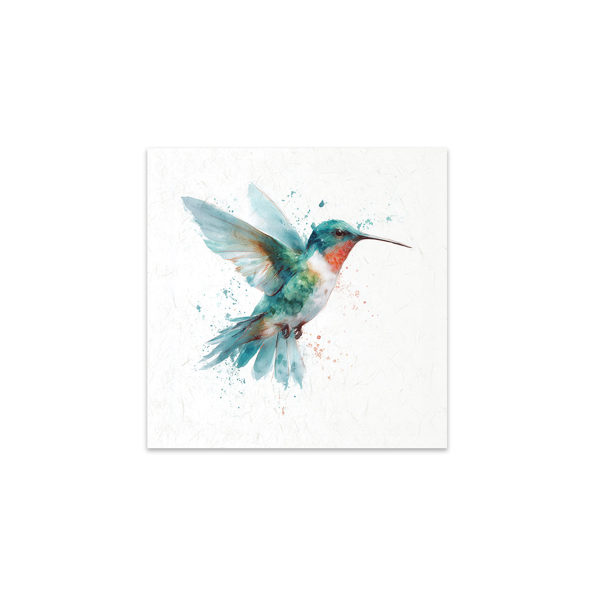 Hummingbird on a white background