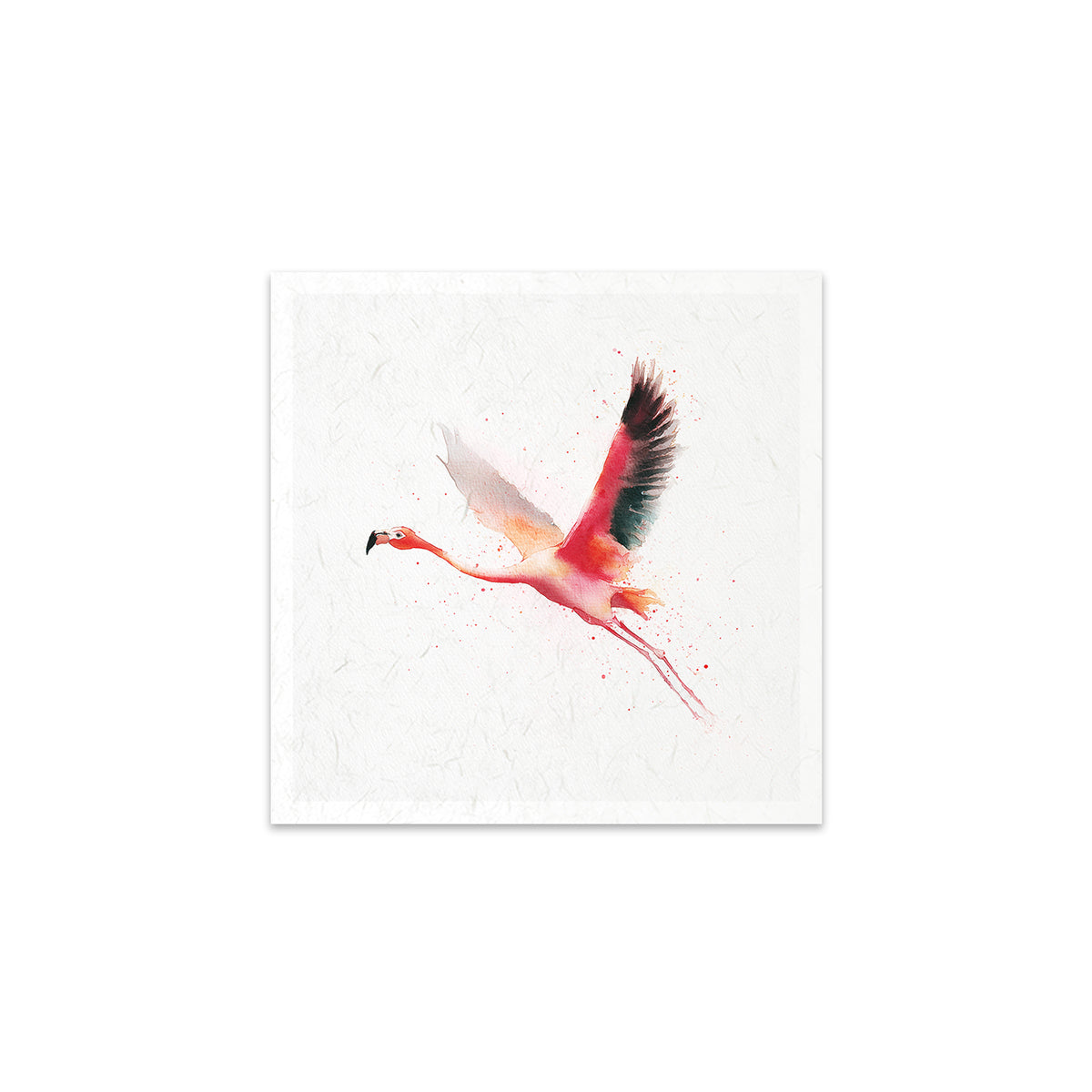 Watercolour painting of a flamingo on a white background