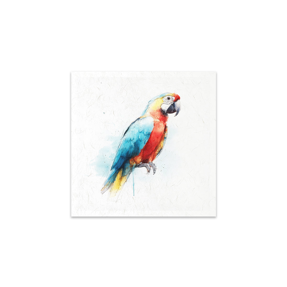 Colourful parrot illustration on a white background