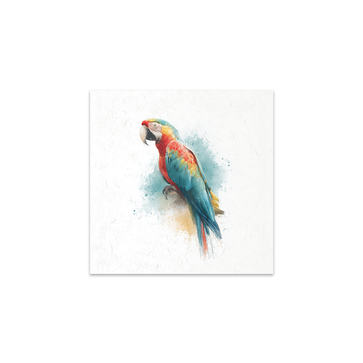 Colourful parrot illustration on a white background