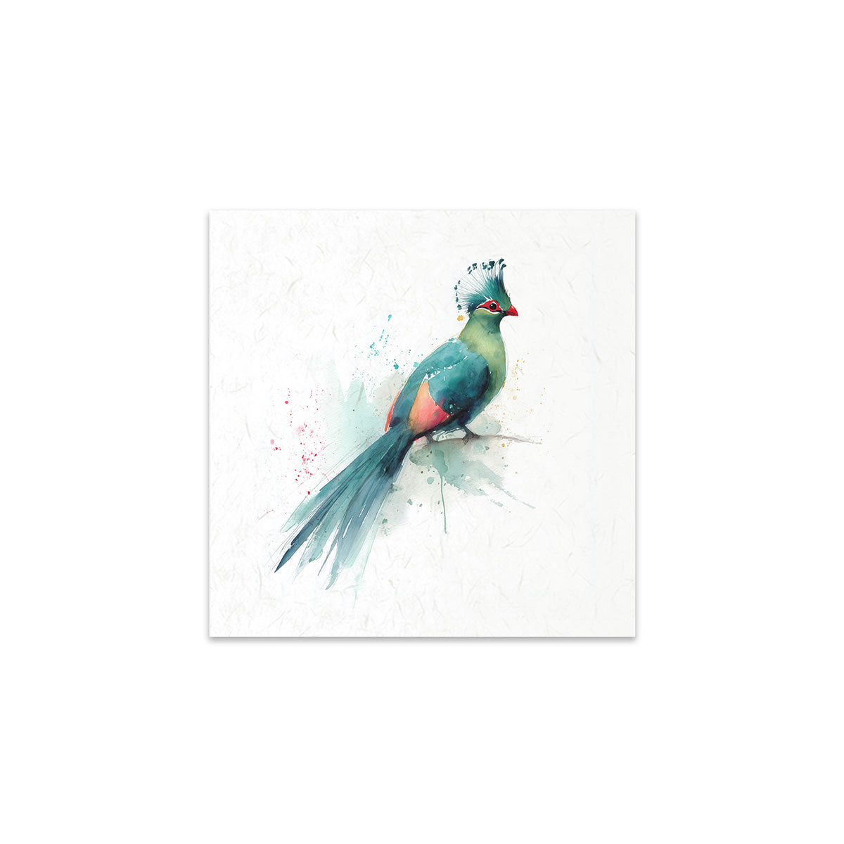 Colourful bird illustration on a white background