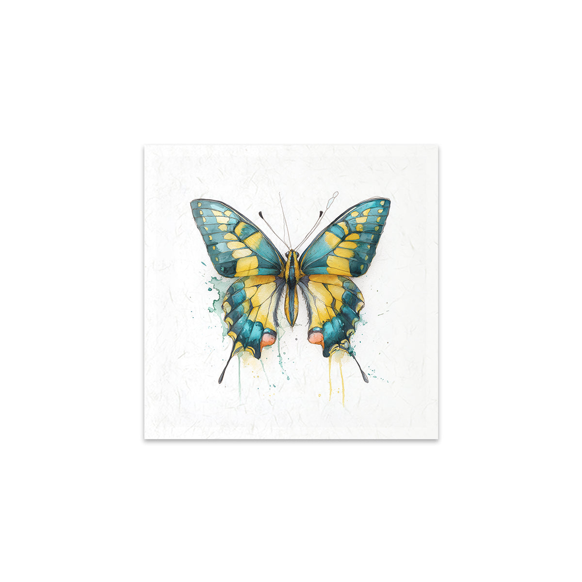 Colourful butterfly illustration on a white background