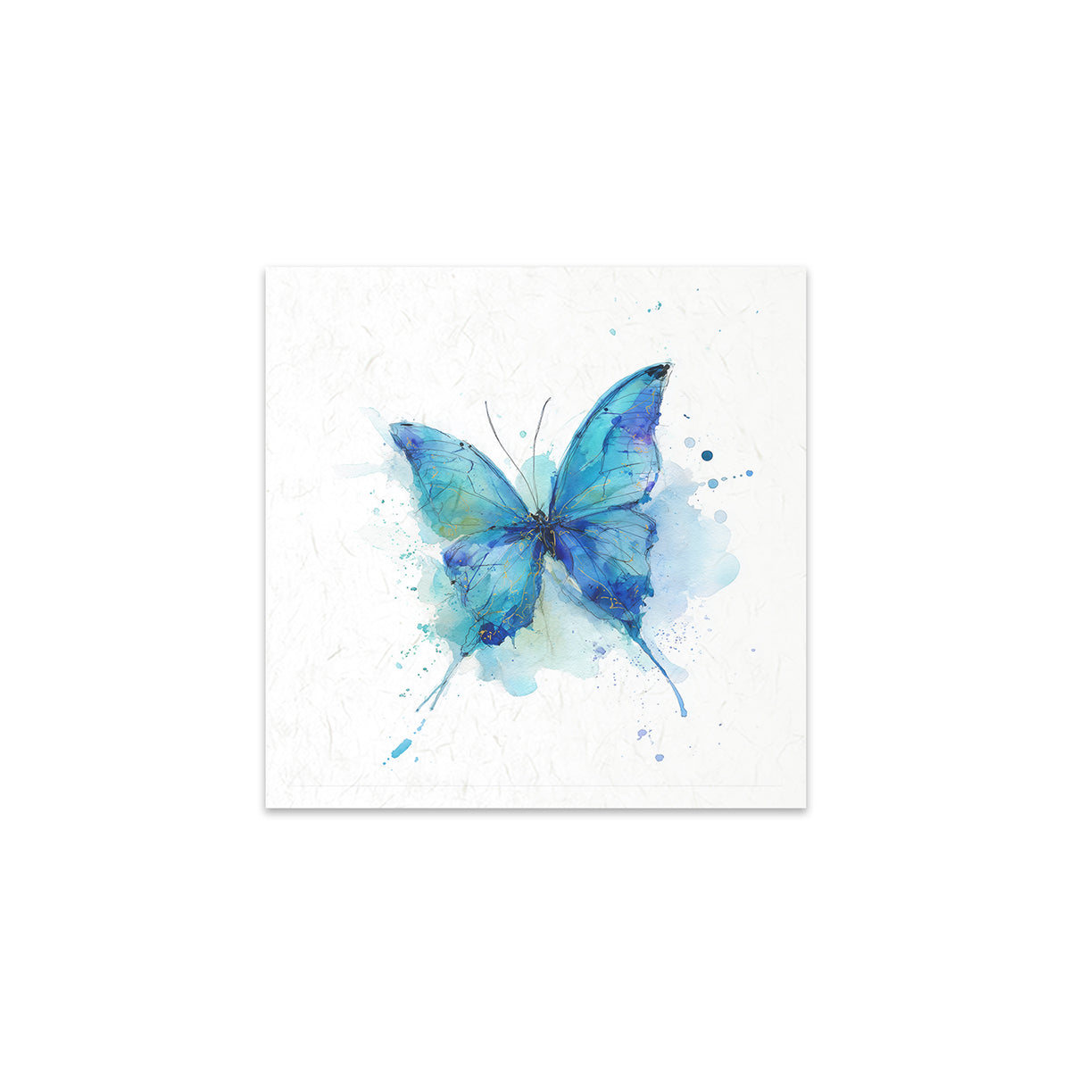 Blue butterfly illustration on a white background