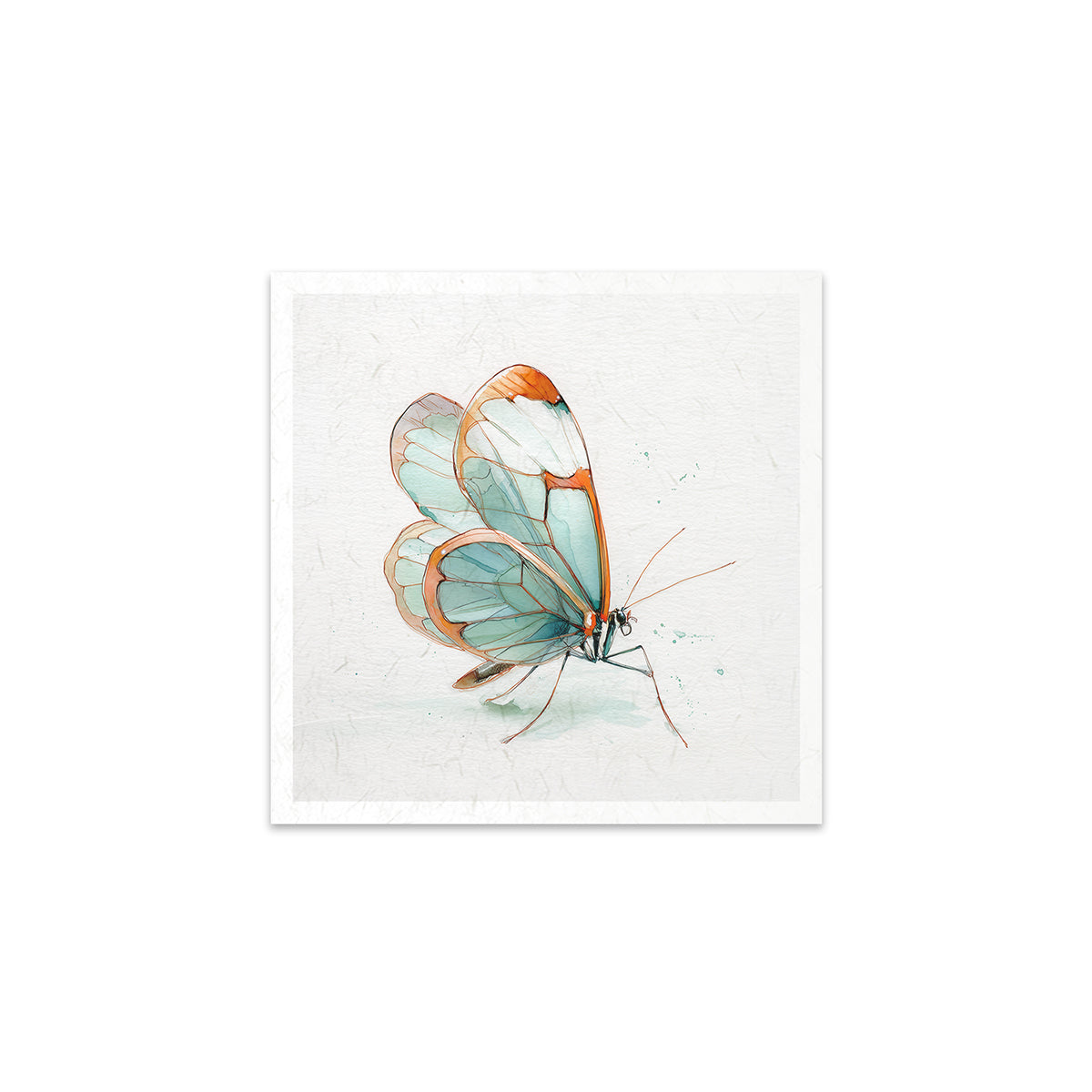 A butterfly with transparent wings on a white background