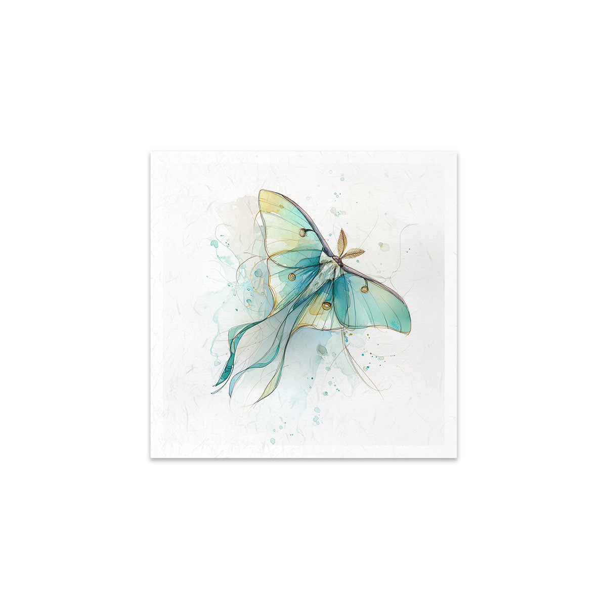 Colourful butterfly illustration on a white background