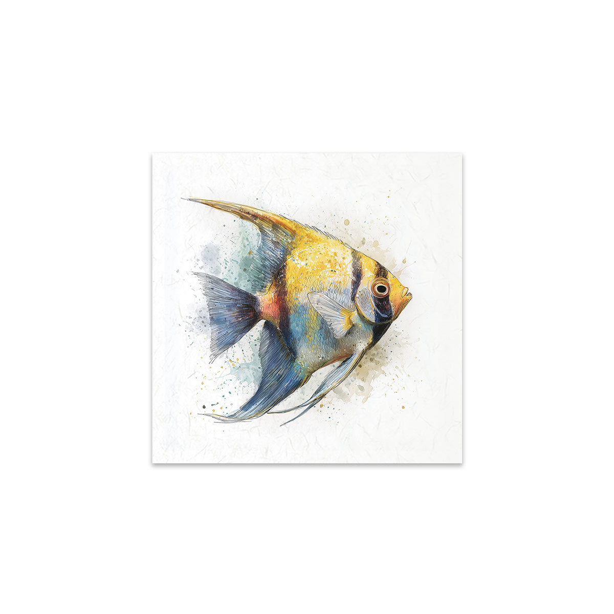 Colourful fish illustration on a white background