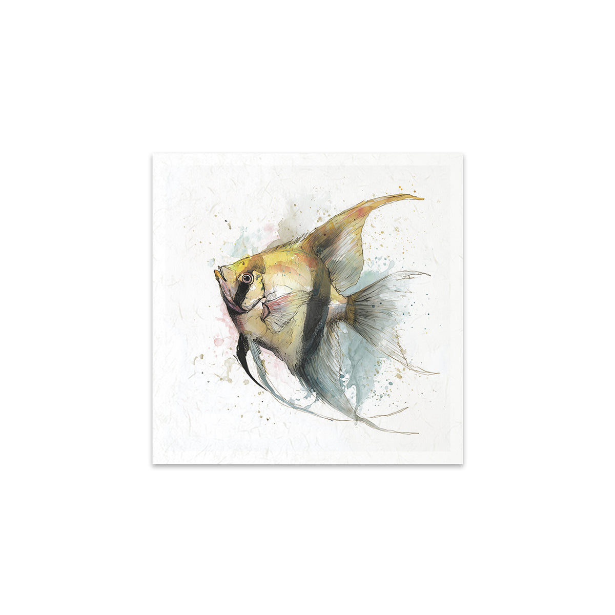 A fish on a white background