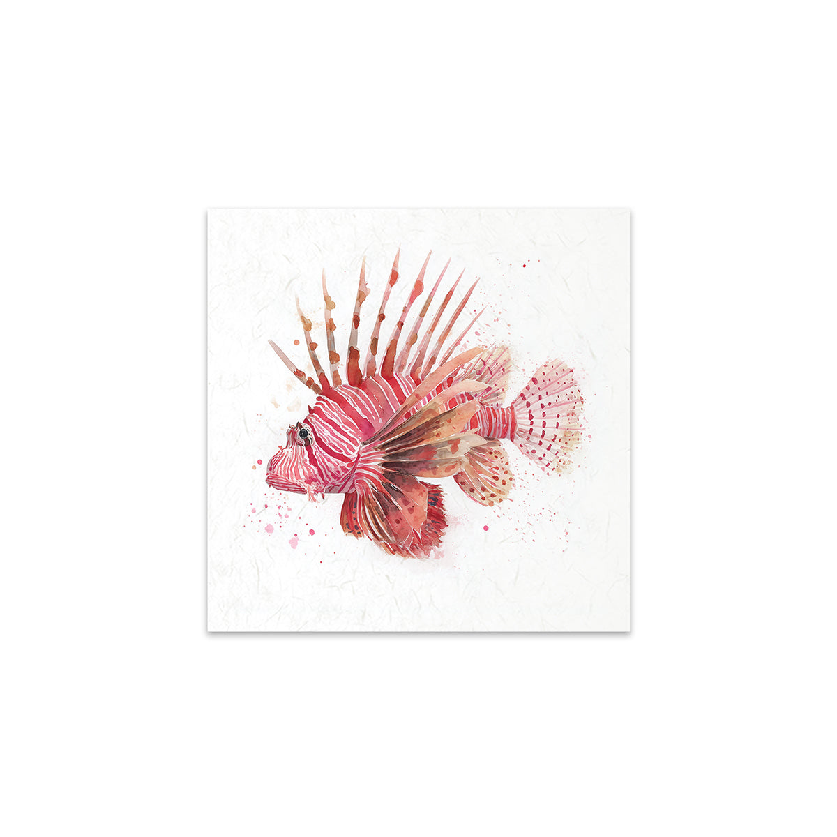 Watercolor illustration of a pink lionfish on a white background