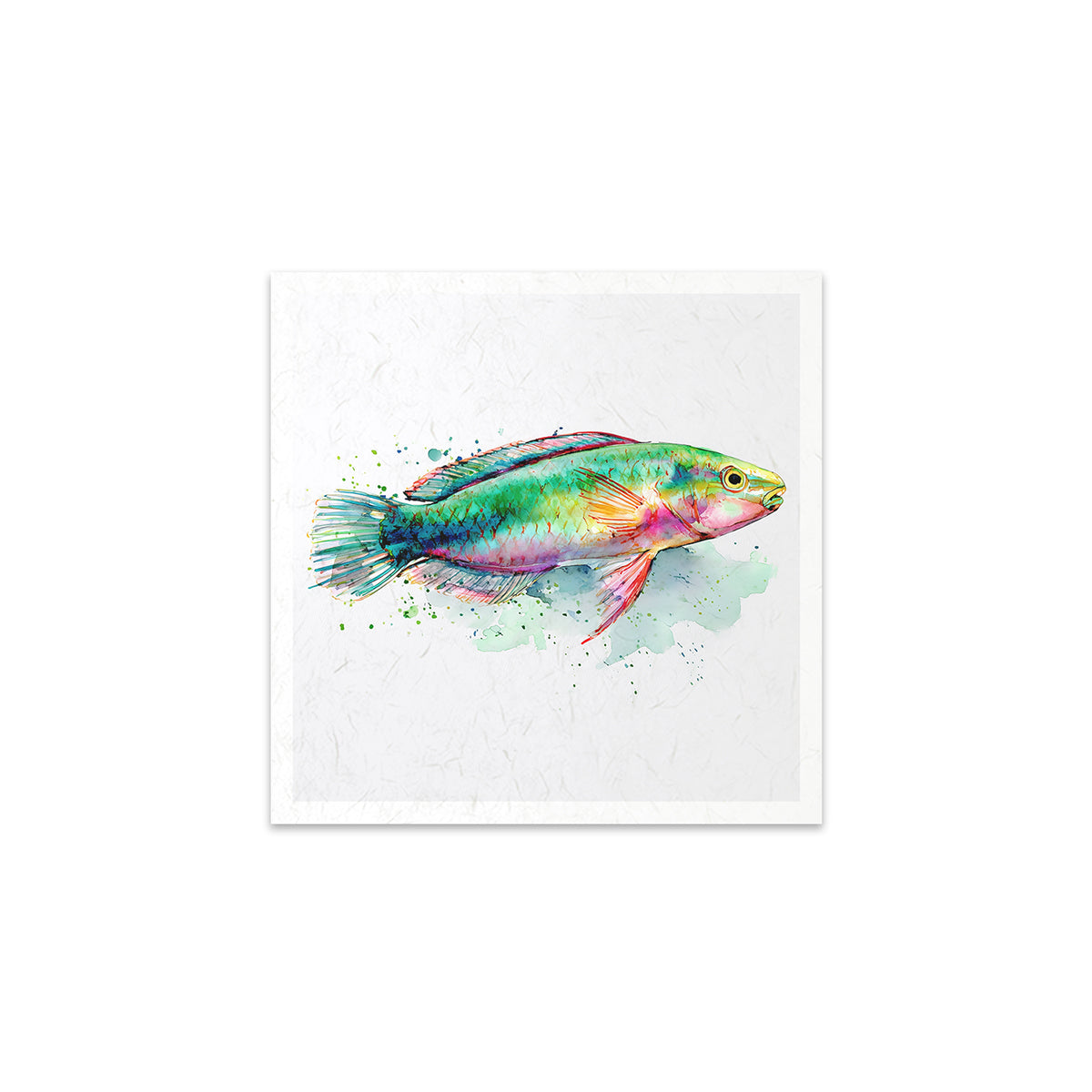 Colourful fish illustration on a white background