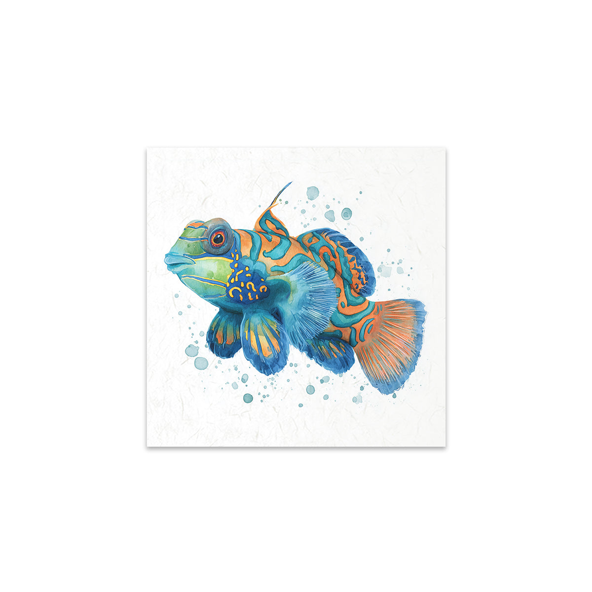 Coloruful fish illustration on a white background