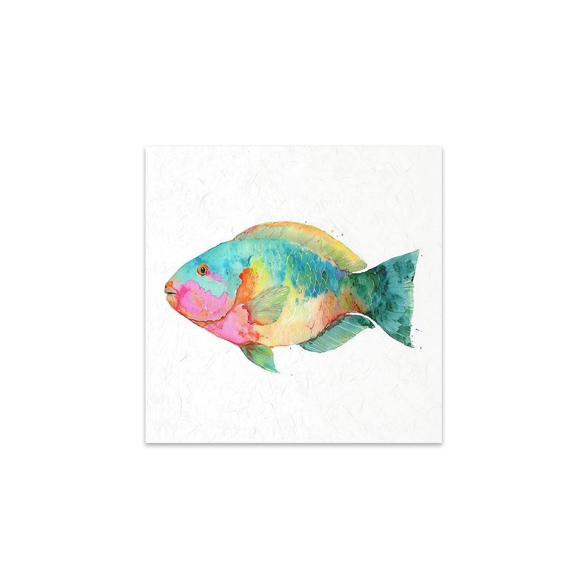Coloruful fish illustration on a white background