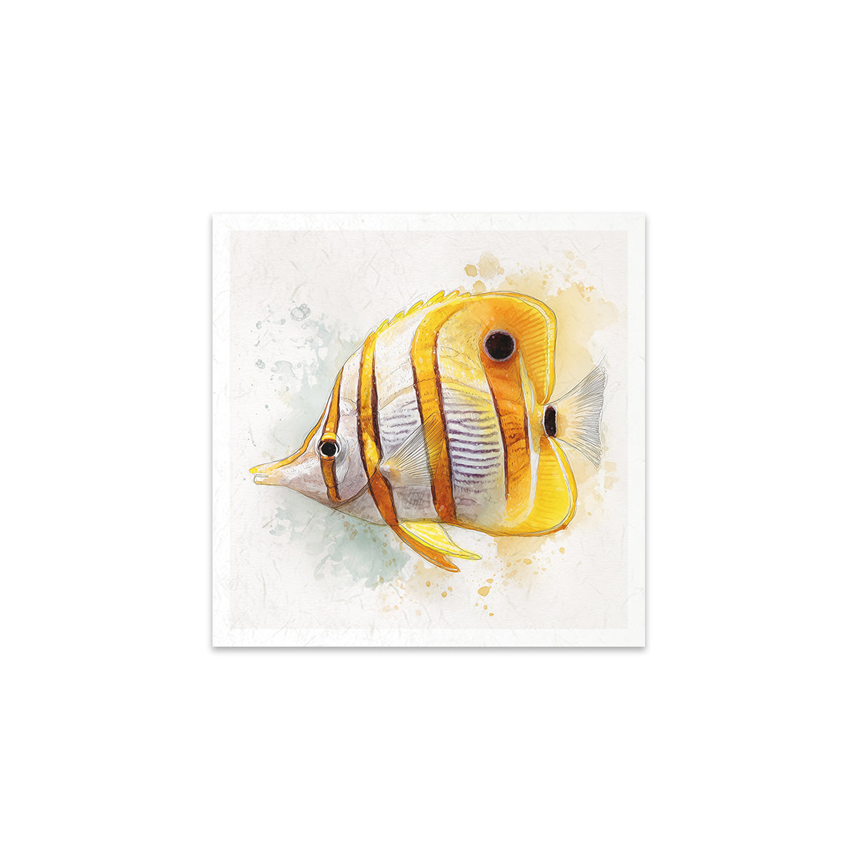 Artistic illustration of a butterfly fish on a textured white background