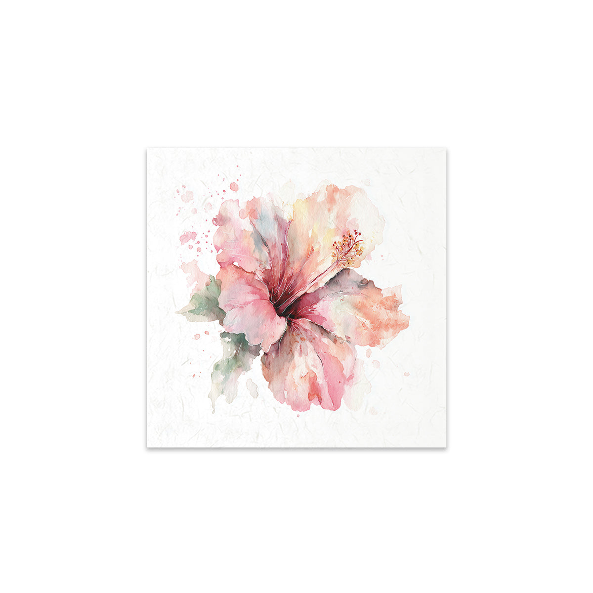 A pink flower on a white background